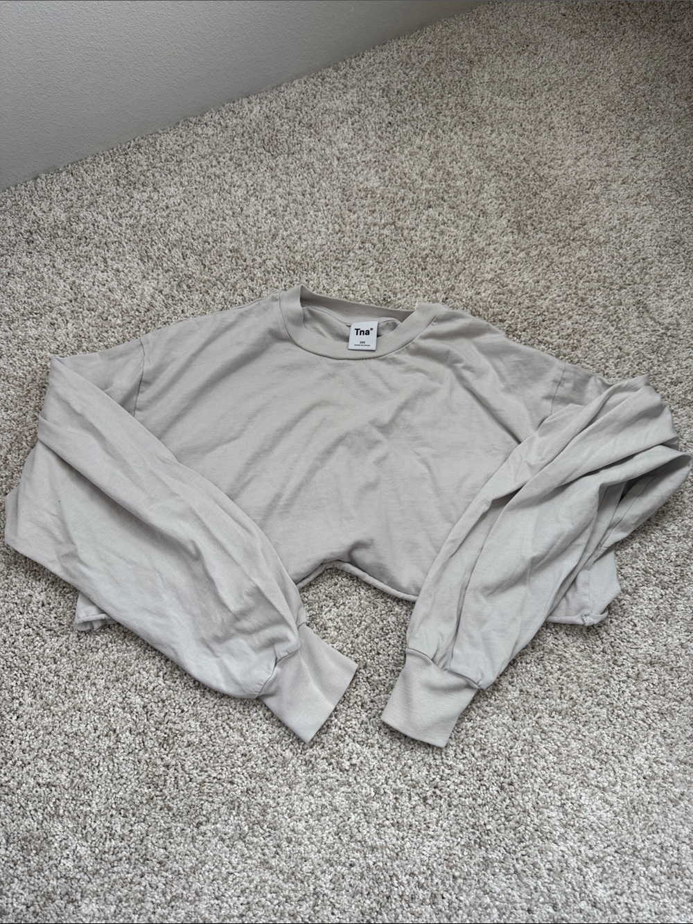 ARITZIA TBA CROP TOP